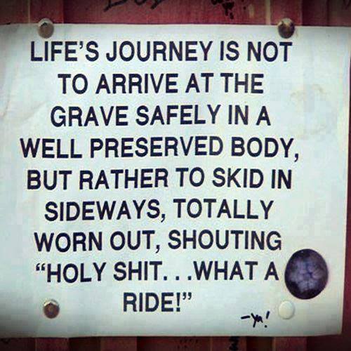 Life's Journey..........