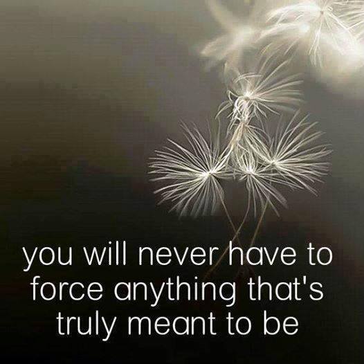 quote you will never have to force anything....