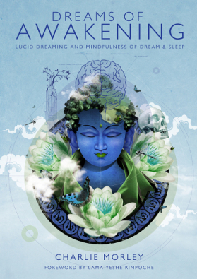 dreams of awakening book cover