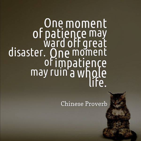 quote one moment of patience